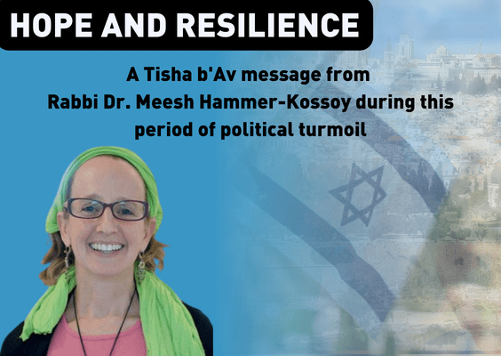 Hope and Resilience in the Midst of Strife: Thoughts and Prayers for the State of Israel on this 9th of Av