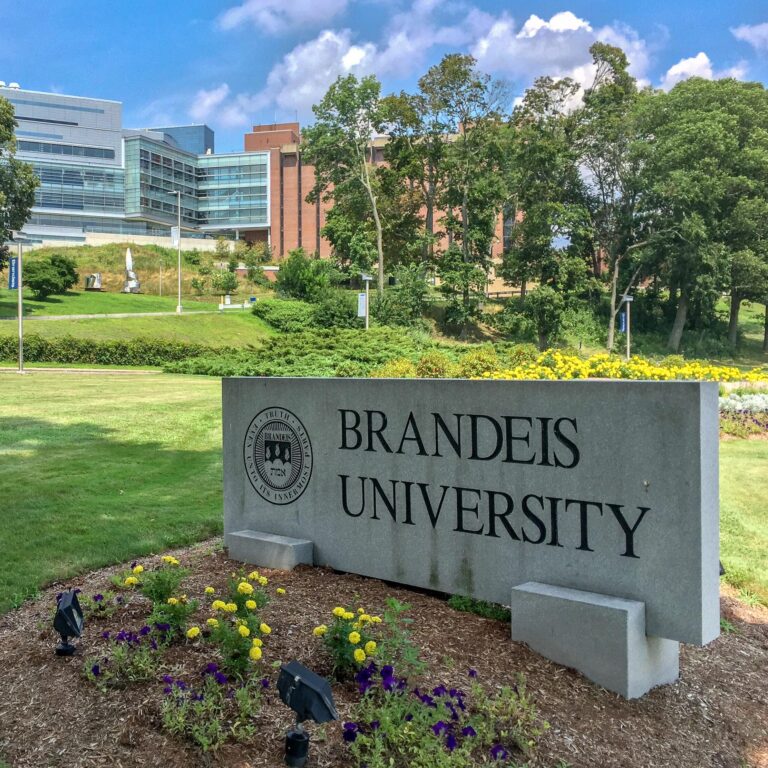 Brandeis University sign