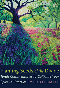 Planting Seeds of the Divine