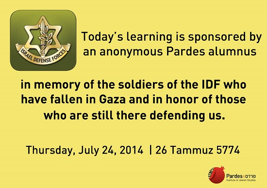 The IDF Soldiers Who Have Fallen in Gaza