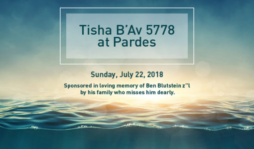 Tisha B&rsquo;Av 5780 TEST 2