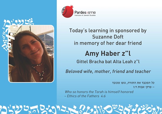 Amy Haber