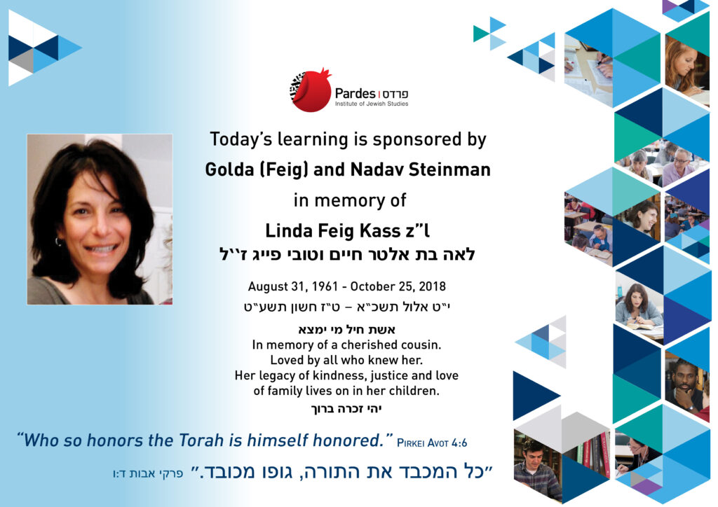 DOL Steinman