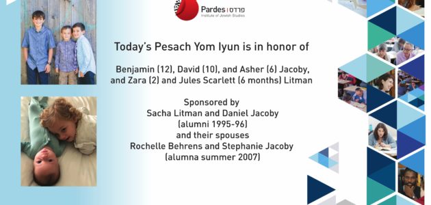DOL FINAL Litman Updated Pesach