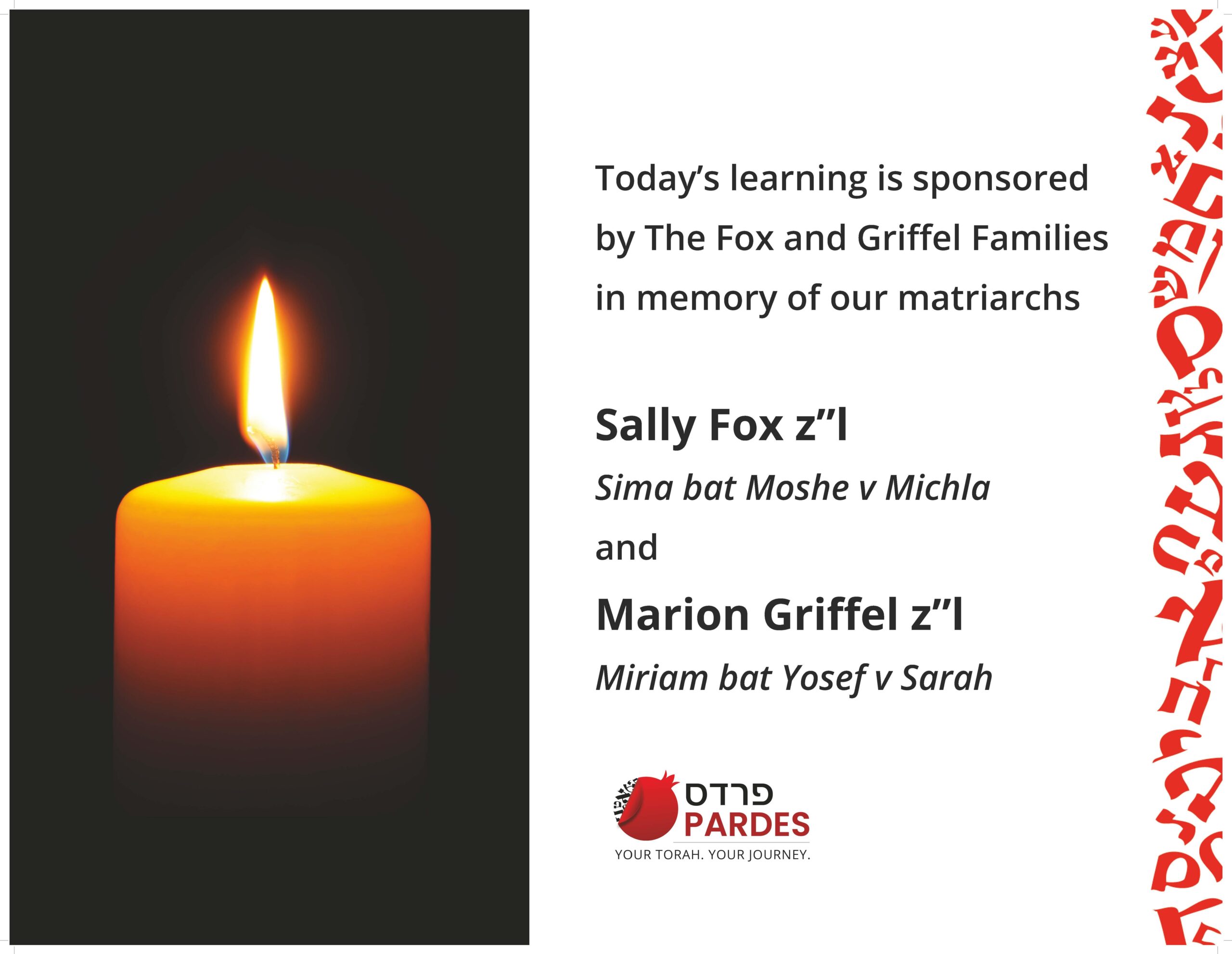 Day of Learning Fox Griffel