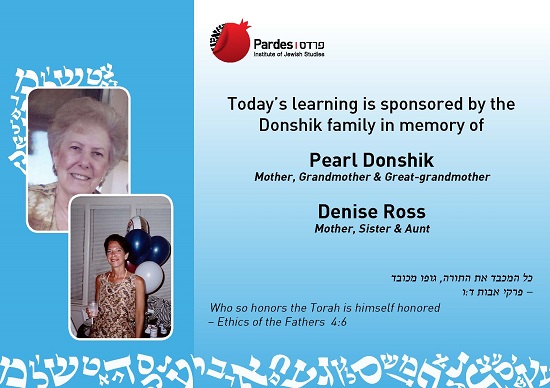 Donshik A2 Poster
