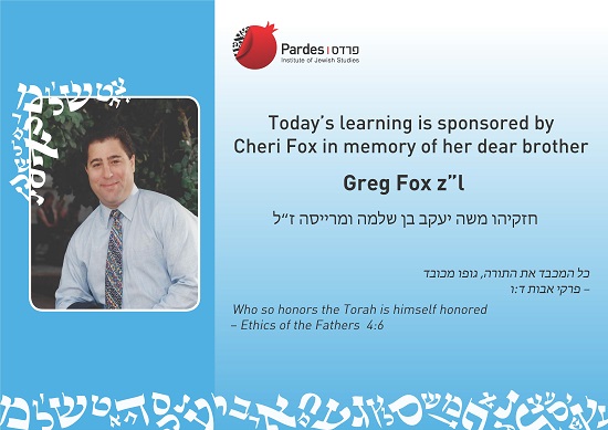 Greg Fox