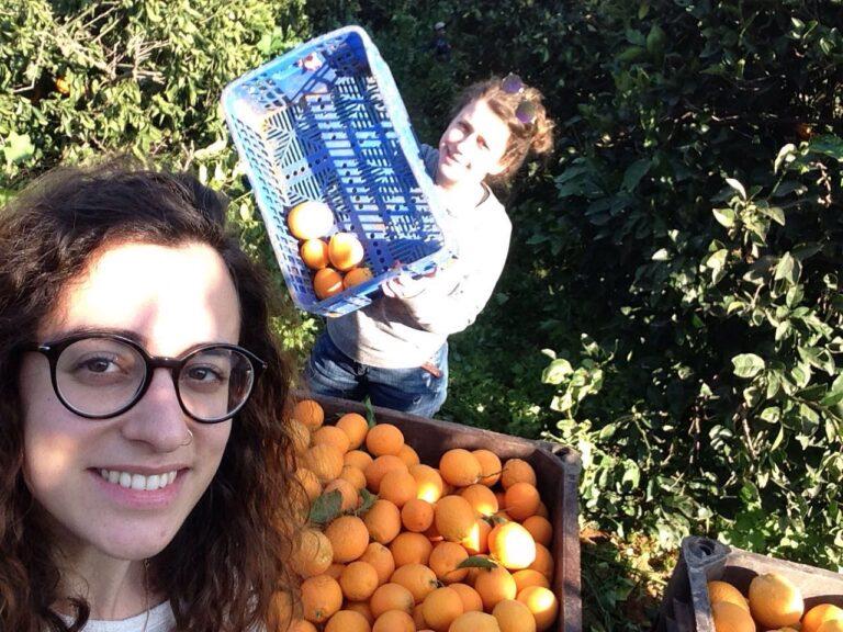 Faustine Sigal smiling, with a crate of oranges behind her