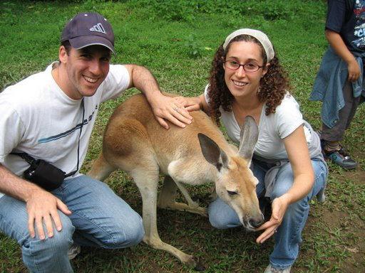 Kangaroo Aaron Lerner