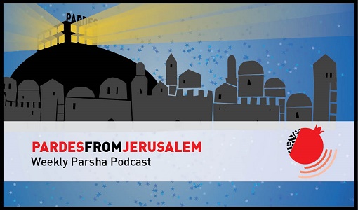 Tisha B&rsquo;Av 5780 TEST 2