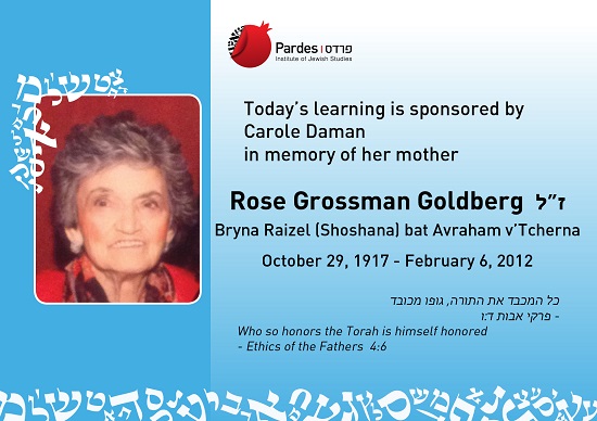 Rose Goldberg no date