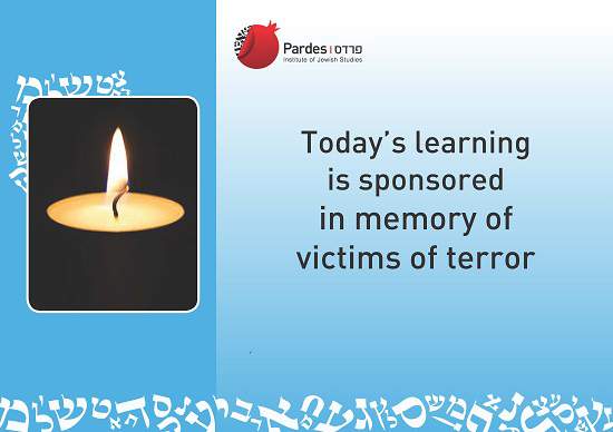 Victims of Terror