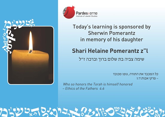 Shari Helaine Pomerantz