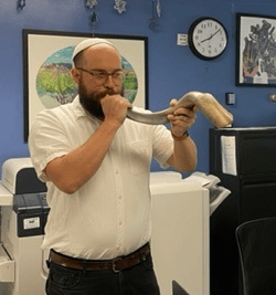 Tani Cohen Shofar