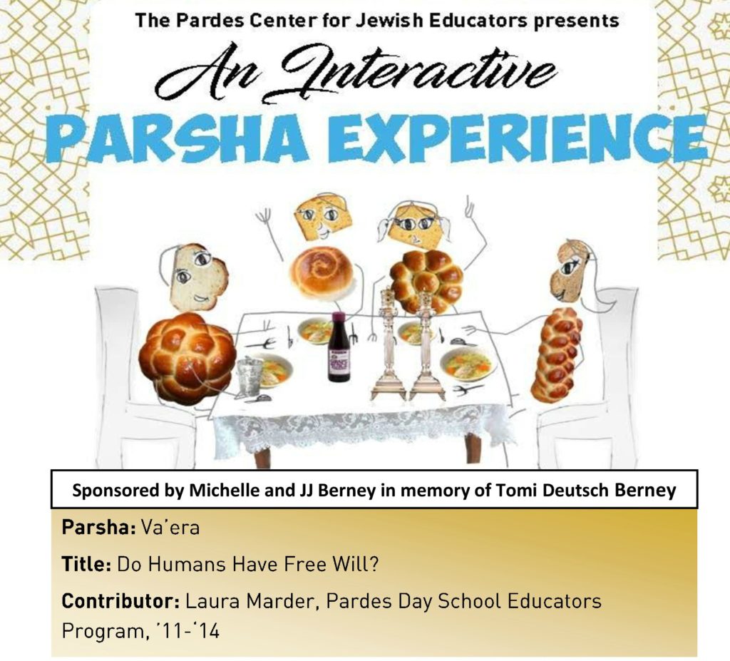 pardes institute of jewish studies elmad interactive parsha experience