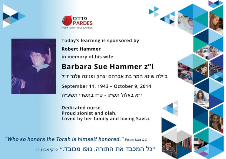 DOL Hammer