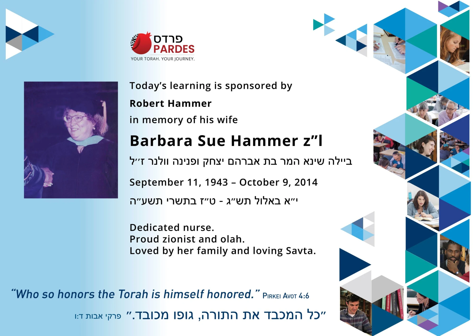 DOL Hammer